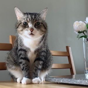 Meet your Posher, Kat